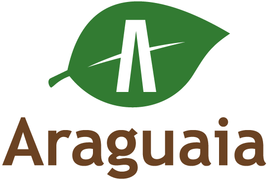 logo Companhia Vale do Araguaia
